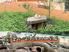 -杭州少年儿童公园
