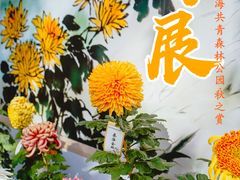 -上海共青森林公园