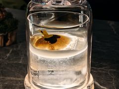 -Hi City·城市之巅