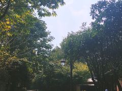 -法云安缦酒店
