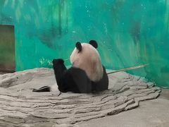 -杭州野生动物世界