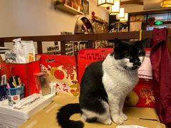 -樱の花亭日本料理店