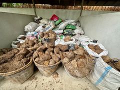 -大象粑粑造纸公园