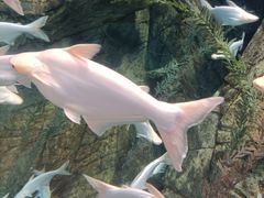 -波塞冬海底世界