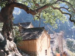 -杨家堂村