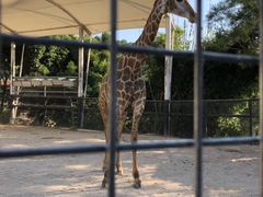 -泉州海丝野生动物世界