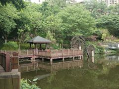 -重庆彩云湖湿地公园
