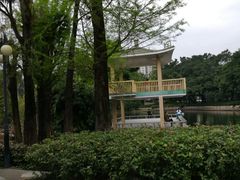 -晓港公园
