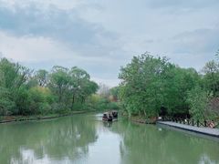 -溱湖国家湿地公园