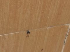 -全季酒店（上海南站徐汇万科中心店）(原冠生园路店)