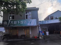-大树下饭店(春晓镇慈岙社区卫生服务站南)