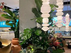 -万达广场(济南高新店)