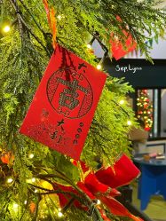 -幻贝家儿童乐园(杭州远洋乐堤港店)
