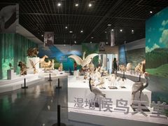-中国湿地博物馆
