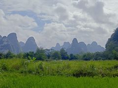 -明仕田园