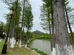 -狼山风景名胜区