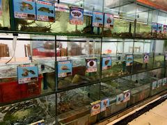 水产区-三亚老渔民海鲜店