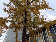 -知味观(湖滨总店)