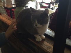 -MIKAKU(万达广场上海宝山店)