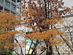 -王府半岛酒店·大堂茶座