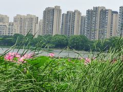 -南翔镇银翔湖公园