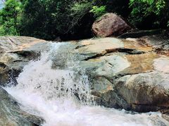 -广州白江湖森林公园