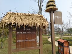 -上海长兴岛郊野公园