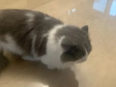 -悠尼宠物·独立低压伊珊娜洗护·美容·寄养(兰谷路店)