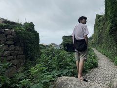 -枸杞岛
