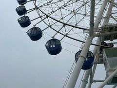 -秦皇岛乐岛海洋王国
