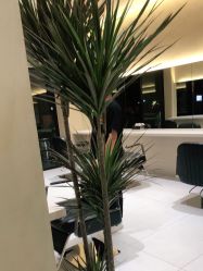 -Garden花園造型