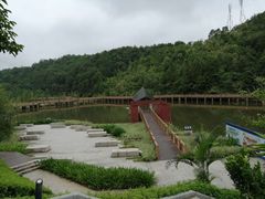 -神光山国家森林公园