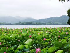 -石湖景区
