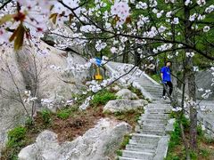 -崂山巨峰游览区