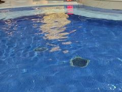 -水晶之星洗浴温泉汗蒸