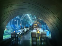 -涛·海底餐厅·美人鱼·自助餐·海底隧道(三亚海棠湾洲际度假酒店)