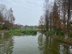 -海珠湖公园