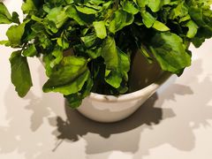-犇鼎牛潮汕牛肉火锅(新辰里学清路店)
