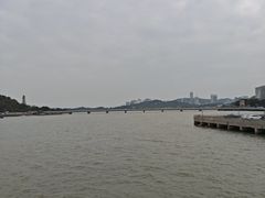 -野狸岛