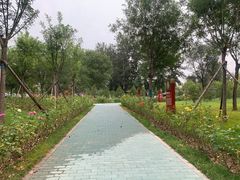 -北京大葆台遗址博物馆