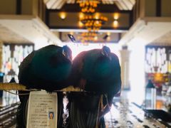 -西双版纳融创皇冠假日度假酒店