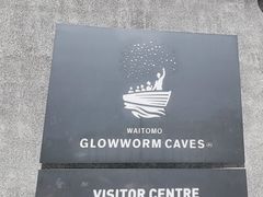 -怀托摩萤火虫洞