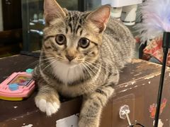 -逃脱反斗城沉浸剧情密室(北京路店)