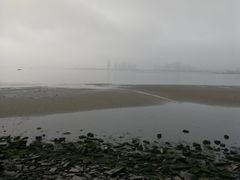 -万绿园