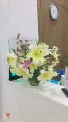 -北京米扬丽格医疗美容·联合丽格鼻整形中心