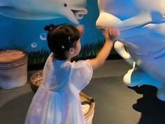 -海合安成都极地海洋公园