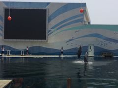 -北戴河圣蓝海洋公园