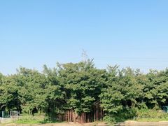 -广州长隆飞鸟乐园