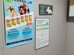 -半岛宠物医院24小时(科华中路店)
