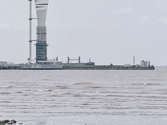 -上海吴淞炮台湾国家湿地公园